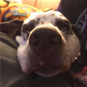 Meet your Posher, Leandro